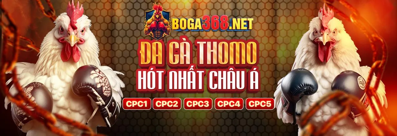 Quản lý tài khoản và bảo mật cá cược trực tuyến